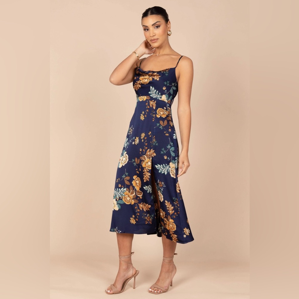 Petal & Pup Alejandra Midi Dress - Picture 3 of 9